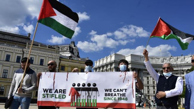 Митинги в поддержку Палестины продолжаются, несмотря на прекращение военных действий 