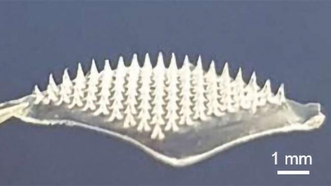 ФОТО ©MedicalXpress:  Вчені зі Стенфордського університету та Університету Північної Кароліни на Чапел-Гіллі створили 3D-друкований пластир з вакциною