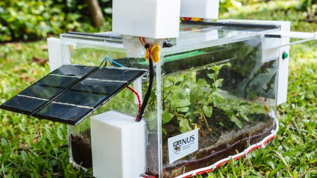 Сінгапурські інженери створили автономну сонячну теплицю, що видобуває воду з повітря 