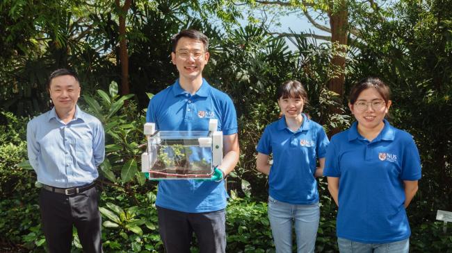ФОТО ©️National University of Singapore: SmartFarm був розроблений дослідниками з Департаменту матеріалознавства та техніки NUS — (зліва направо) проф. Тан Сві Чінг, пан Цю Хао, пані Ян Цзячен та д-р Чжан Сюпінг.