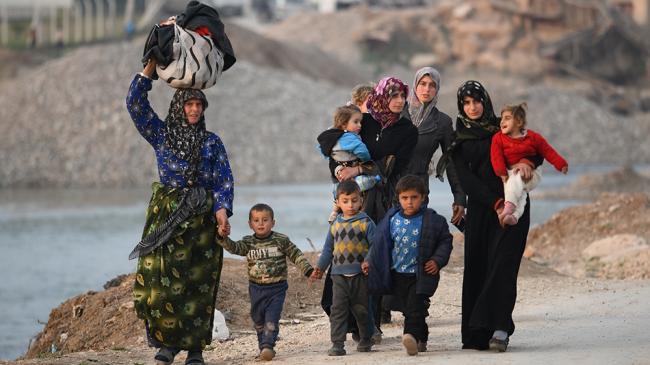 Турция: В сирийском Африне обнаружено массовое захоронение