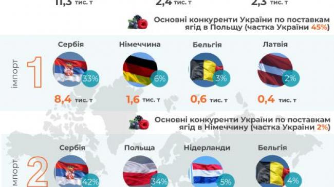 Інфографіка ©UCAB: Можливості для України на світовому ринку ягід