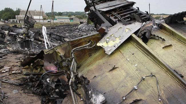 В 2014 році в небі над Донбасом було сбито малазійський пасажирський лайнер — загинуло 298 осіб (283 пасажири та 15 членів екіпажу)