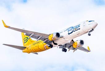Лоукостер Bees Airlines до травня запустить авіарейси в кавказькому напрямі