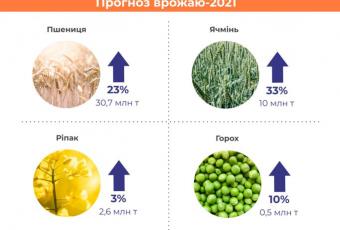 Основні покупці українського ячменю