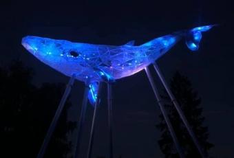 «Київський Кит» — новий екологічний символ столиці