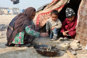 ООН: Світові ціни на продукти харчування найвищі за останні десять років